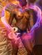 Vignette votre massage naturiste et sensuel